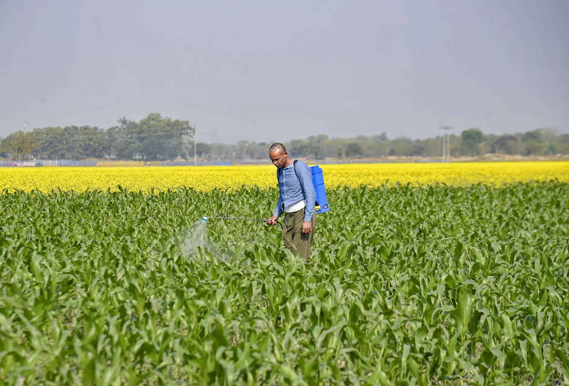 Budget 2026: Agri sector lays out its pitch — tech push, climate-smart infra &amp; more