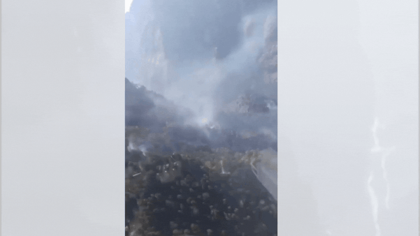 Watch: IAF joins op to fight massive Nanda Devi forest fire; Mi-17 V5 helicopter deployed