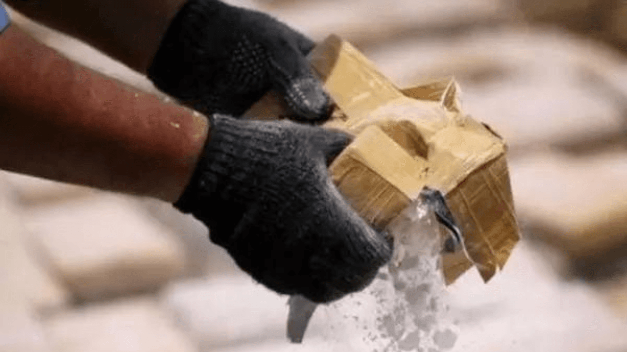 Pakistan drone-dropped drugs worth Rs 40 crore seized in Jammu