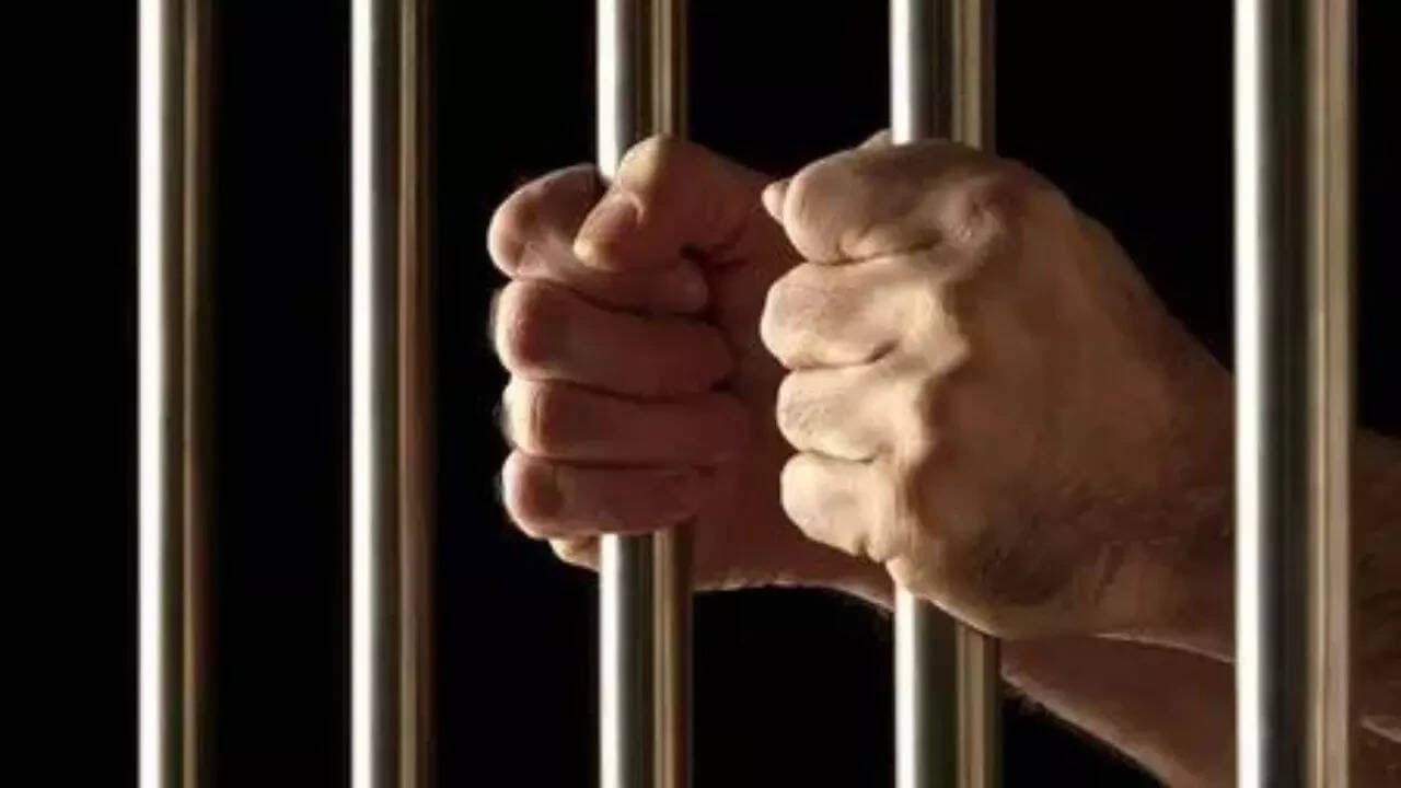 Jammu and Kashmir: 2 mobiles, being smuggled inside jail, recovered in Doda