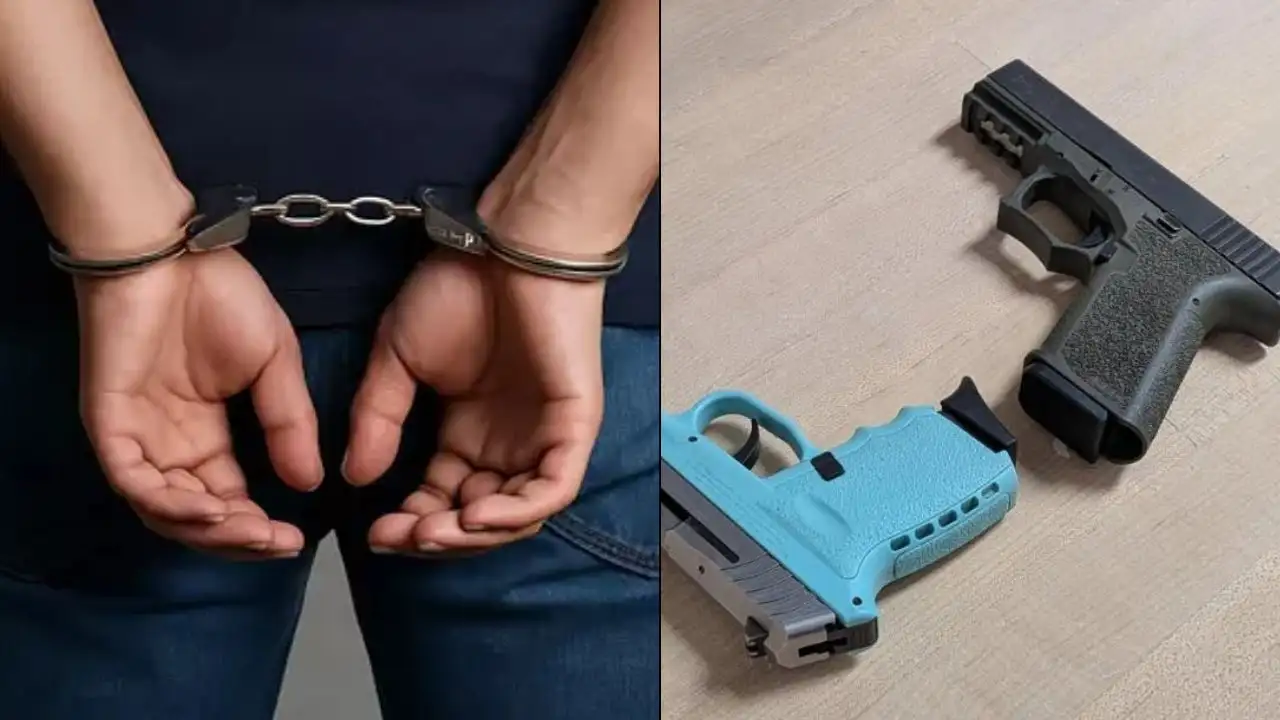 Pizza, meth &amp; guns: Indian illegally living in US charged with drug trafficking