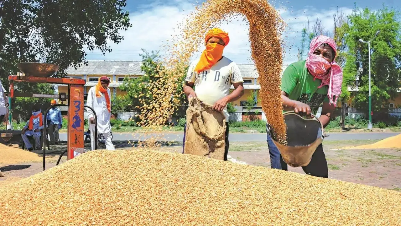 25p/kg wheat MSP hike an 'insult': Samyukta Kisan Morcha