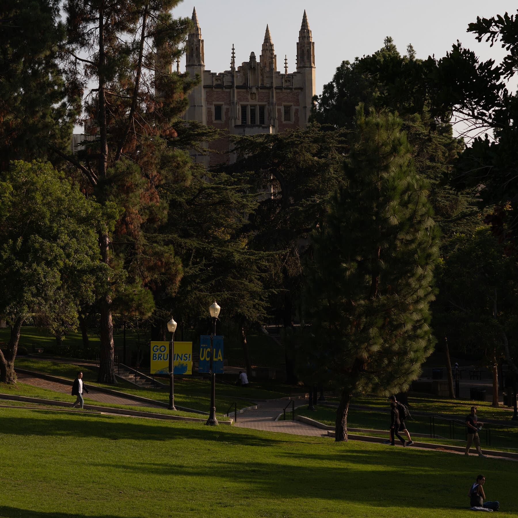 D.O.J. Sues U.C.L.A. After It Refused to Pay $1 Billion Fine