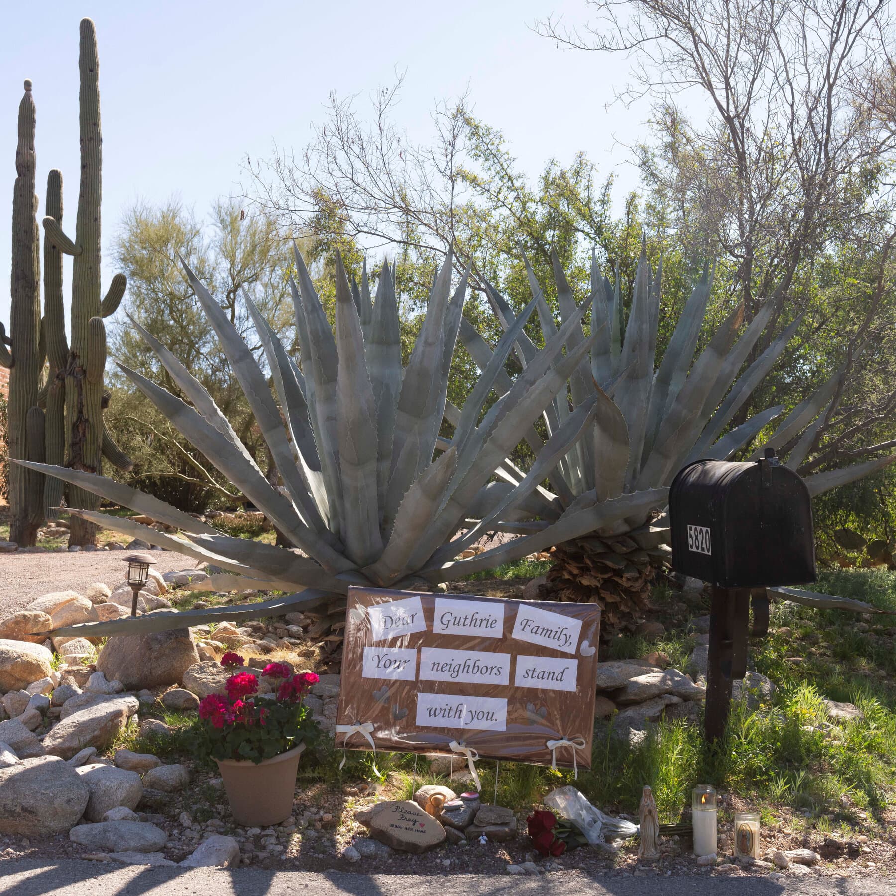 Savannah Guthrie Says, ‘We Believe Our Mom Is Still Out There’