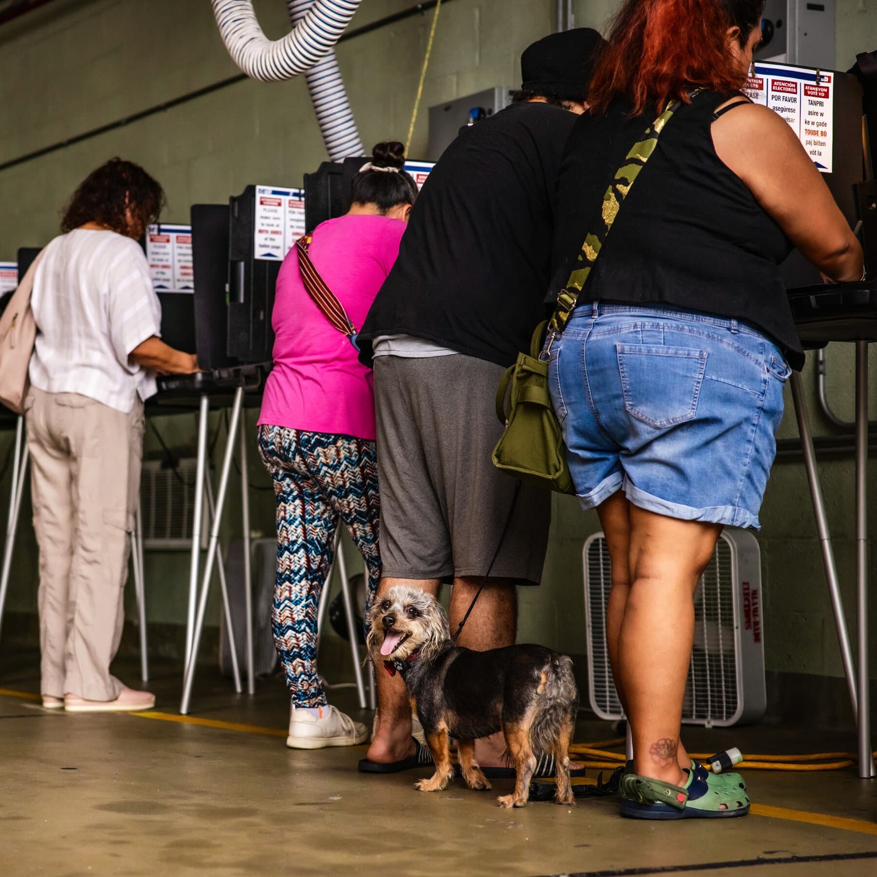 Administration Increases Scrutiny of Noncitizen Voting, Pursuing a Trump Claim