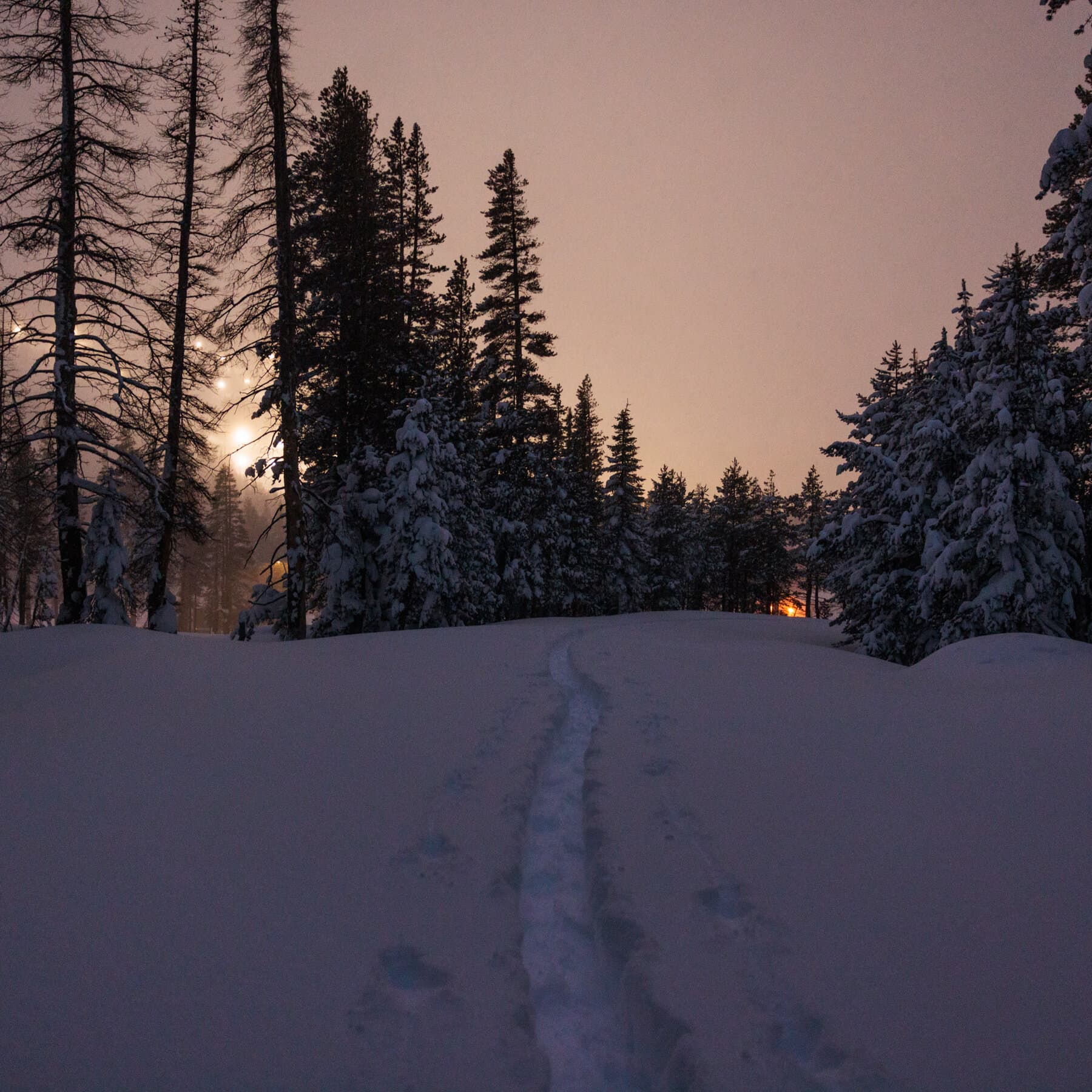 Two Sisters Died in Tahoe Area Avalanche During Trek With Friends