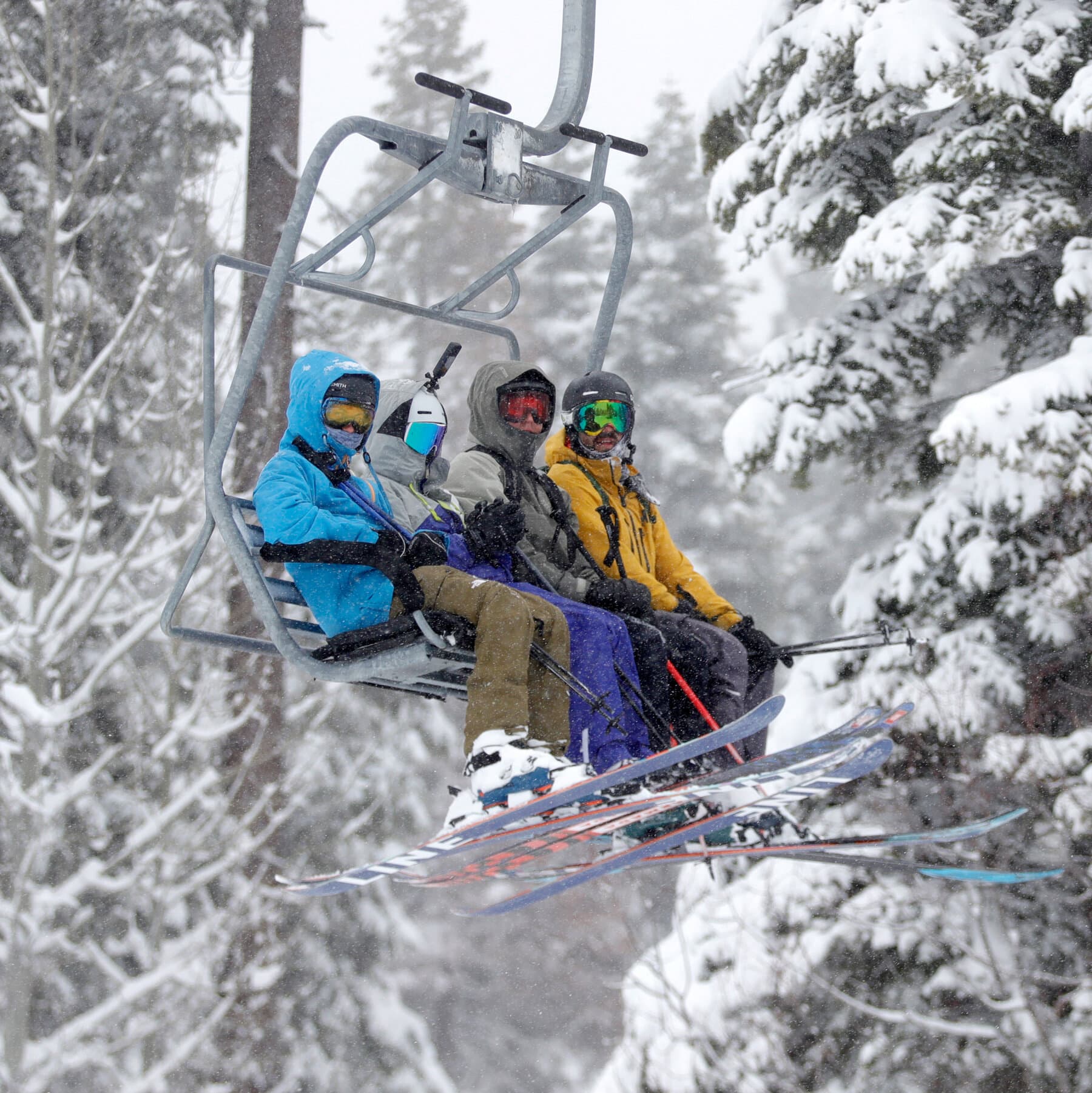 San José State University Graduate Is Found Dead in Tree Well at Lake Tahoe Resort
