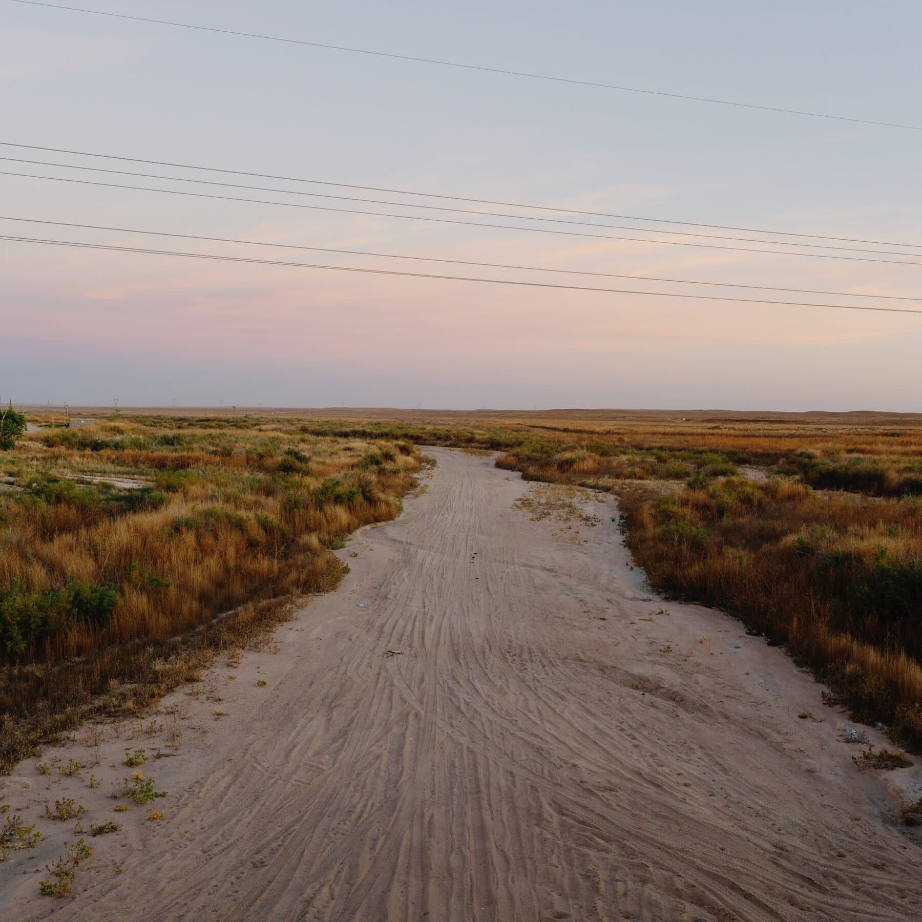 Nature Report, Killed by Trump, Is Released Independently