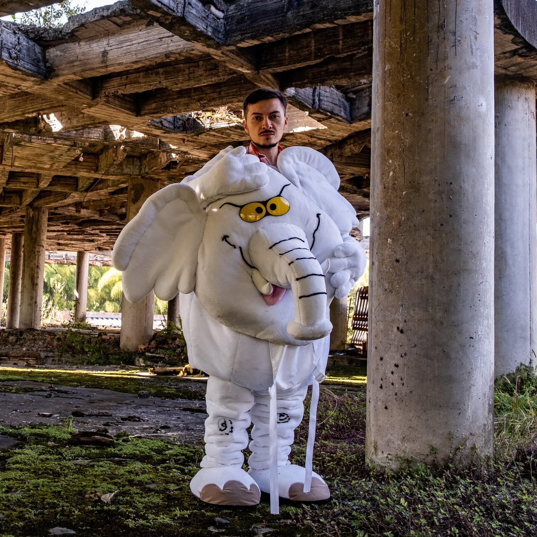 Luis Carlos Rúa Fought Colombia’s Corruption in an Elephant Costume. Now He’s a Senator.