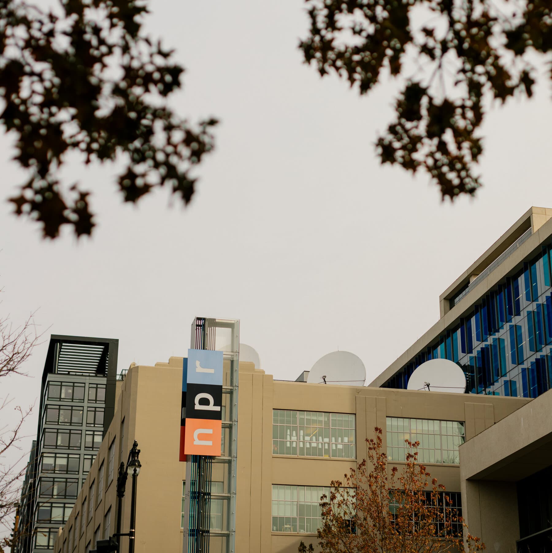 NPR Podcast Host Ramtin Arablouei Exits Amid Workplace Inquiry