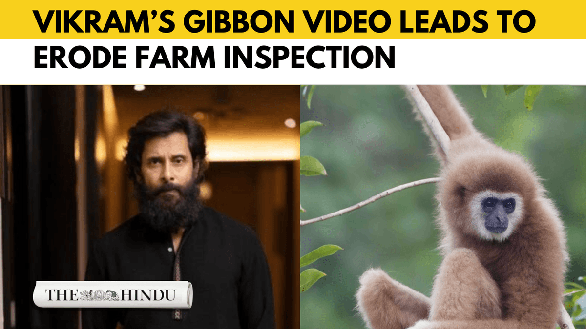 Vikram’s Gibbon video puts Erode farm under scrutiny