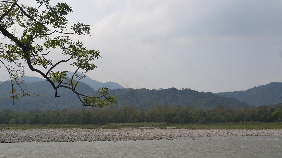 Why the Manas National Park in Assam is important