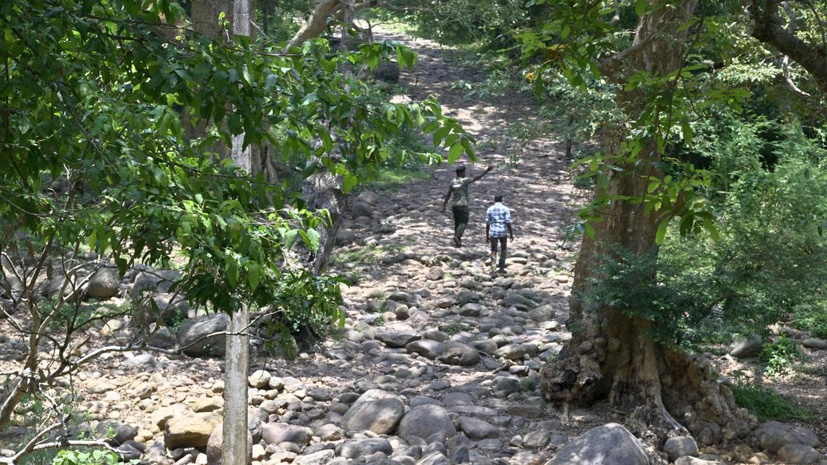 Tamil Nadu election 2026: Ryots in Rajapalayam constituency have a long list of demands