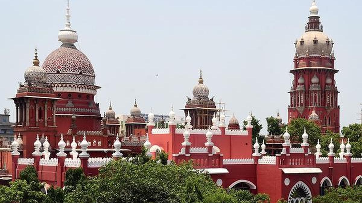 Supreme Court seized of granting leave to convicts pending appeal, amicus curiae informs five-judge Larger Bench of Madras High Court