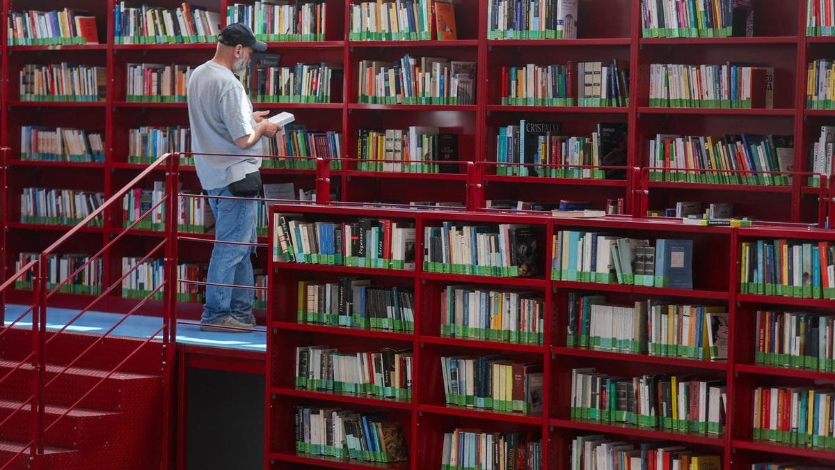 When AI eats books