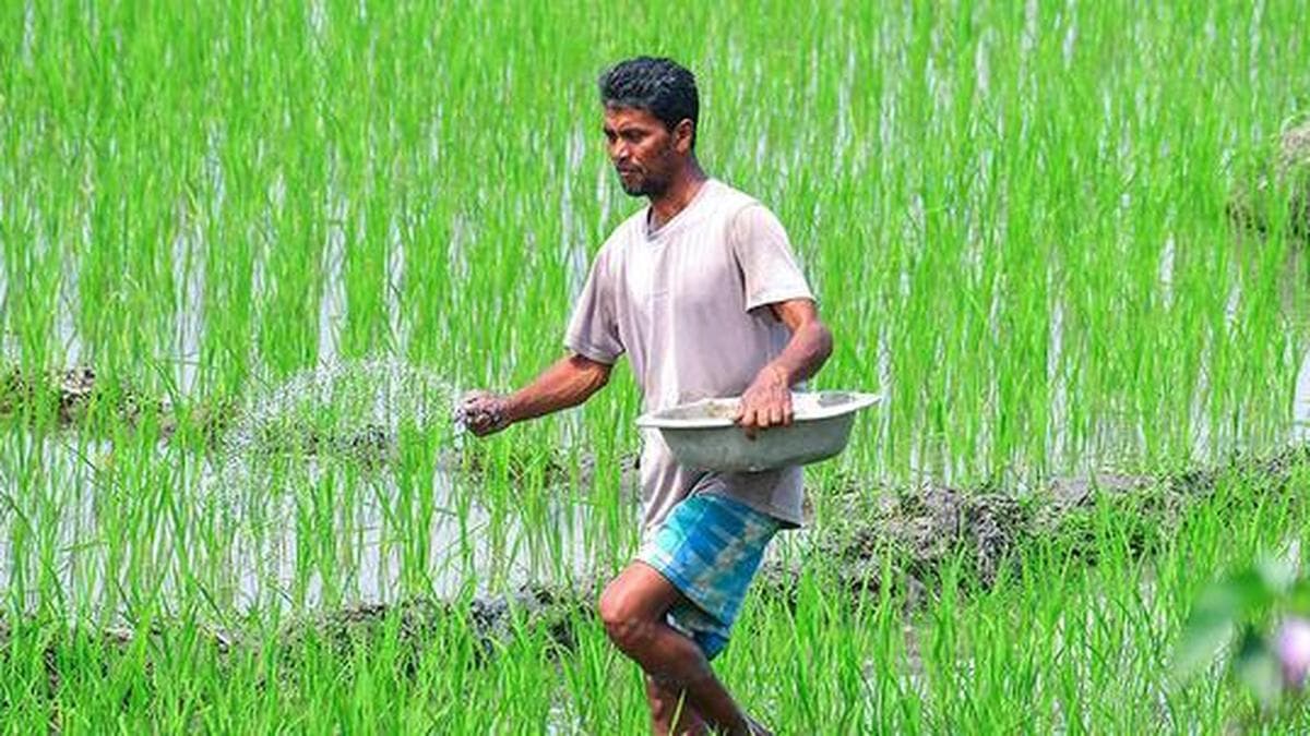 Urea and phosphatic fertilizer supplies ‘remain adequate’ for Kharif season, says Fertilizer Association of India