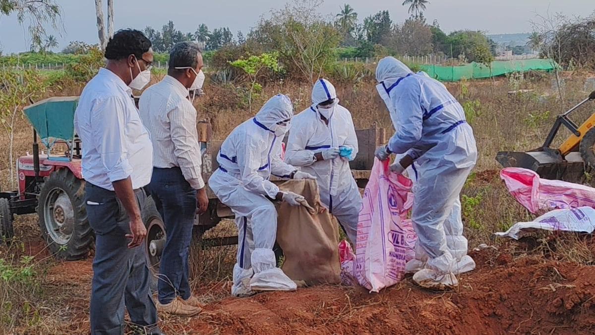 Bengaluru H5N1 outbreak: No human cases detected after 10-day surveillance