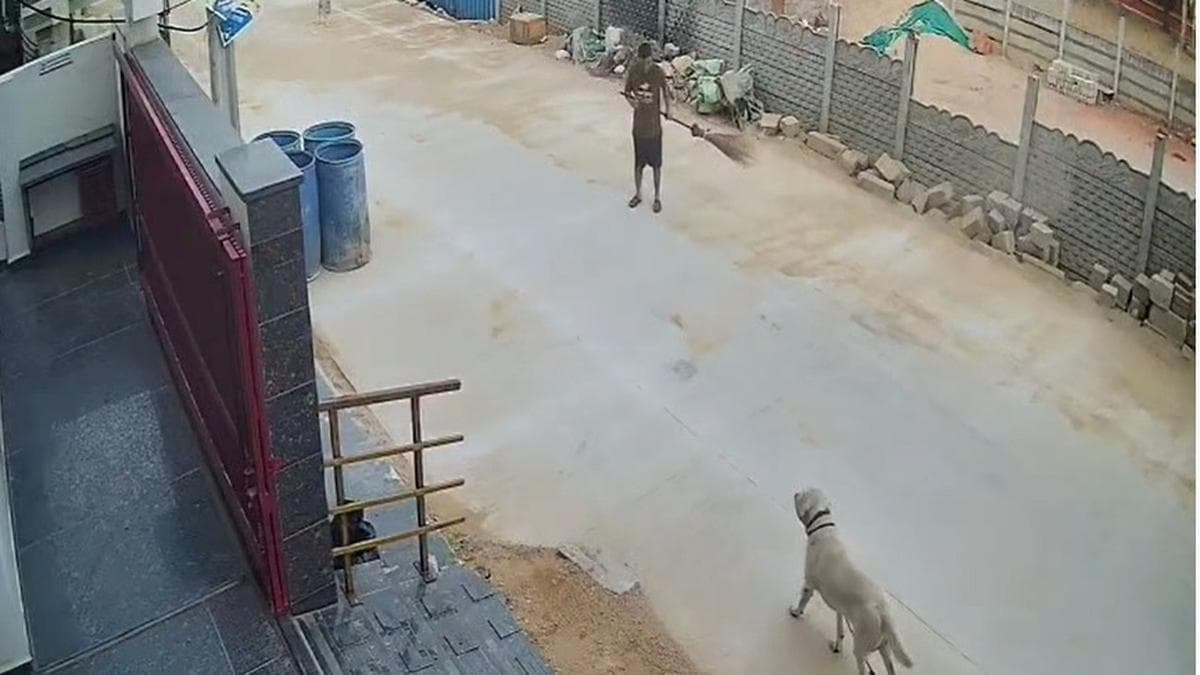 Delivery agent’s kindness, head constable’s persistence help find missing dog