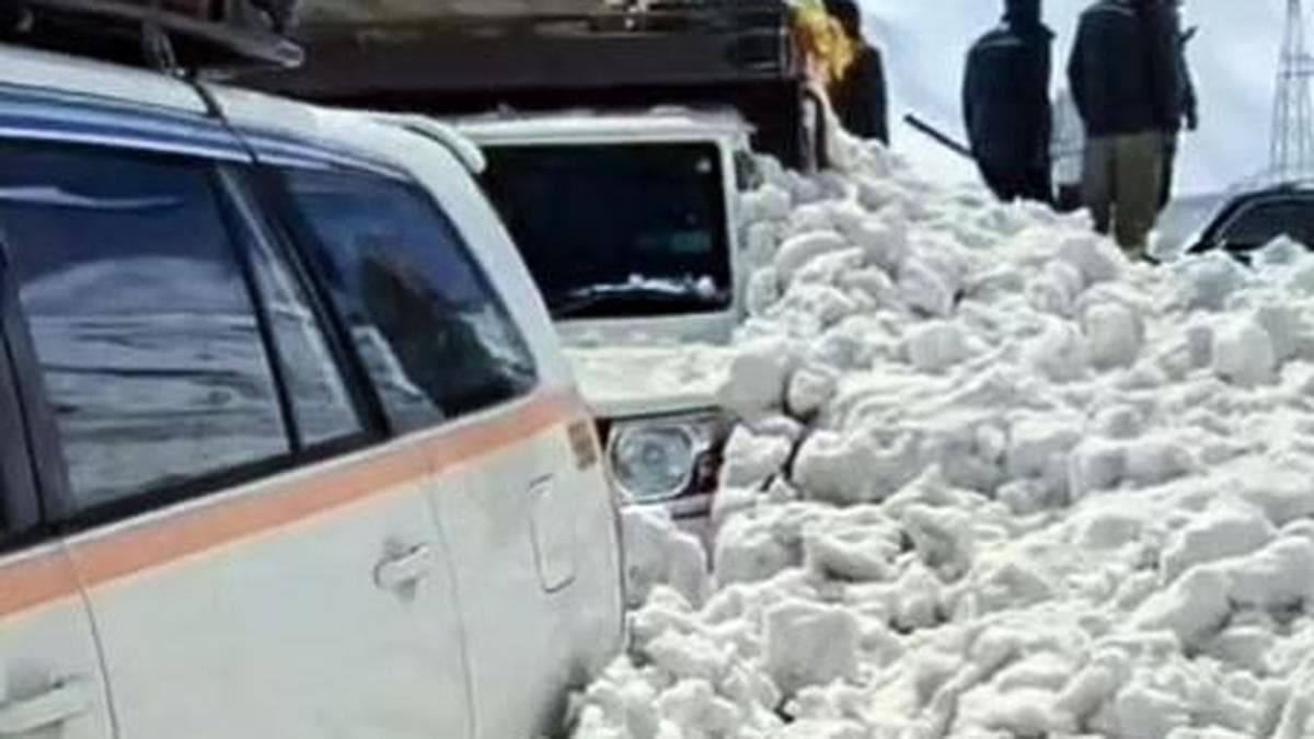 7 killed as avalanche hits Srinagar-Leh National Highway