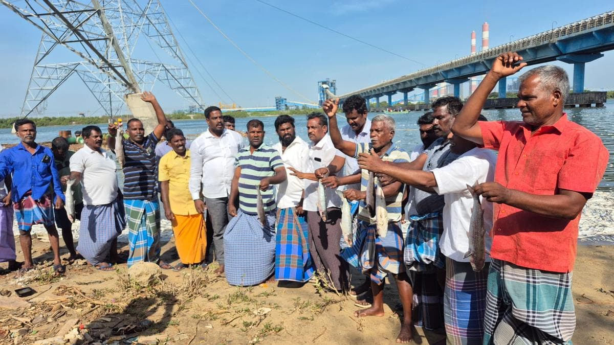 Ennore fisherfolk protest over mass fish kill in Kosasthalaiyar