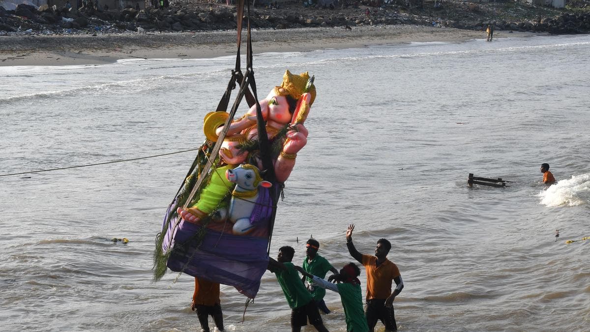 ‘What did you do in the past year?’ NGT asks Tamil Nadu govt. over Vinayaka idol immersion preparedness