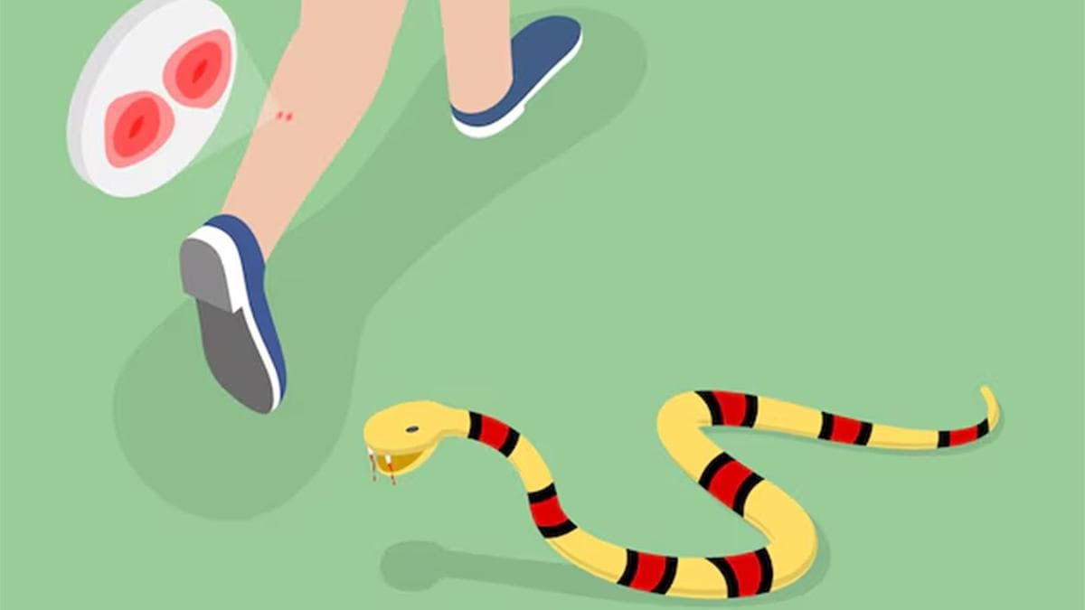 Tourist bitten by snake near Cherai beach in Kerala’s Kochi; under observation in MICU