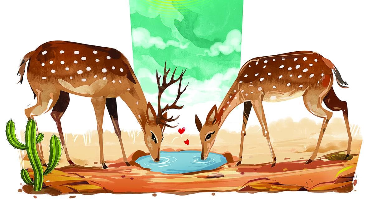 Collection of names of animals as portrayed in Tamil classics