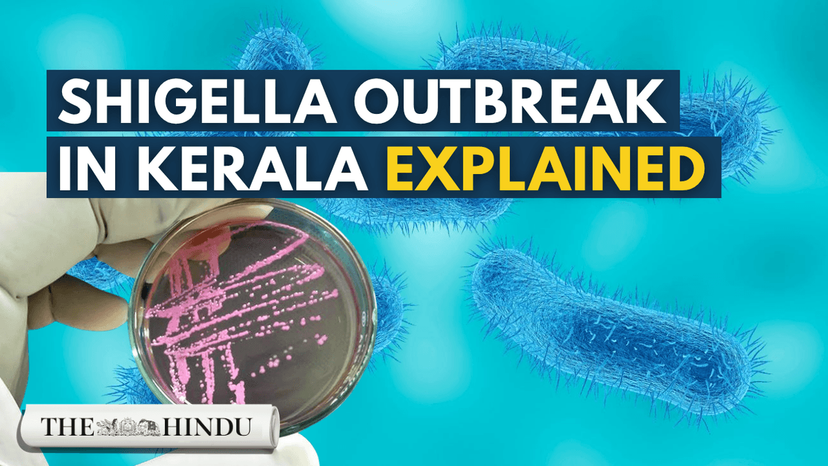 Shigella outbreak in Kerala explained: Why cases are rising and who is at risk