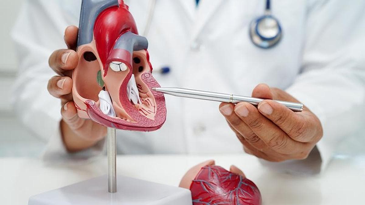 Why are unsaturated fats better for your heart than saturated fats?