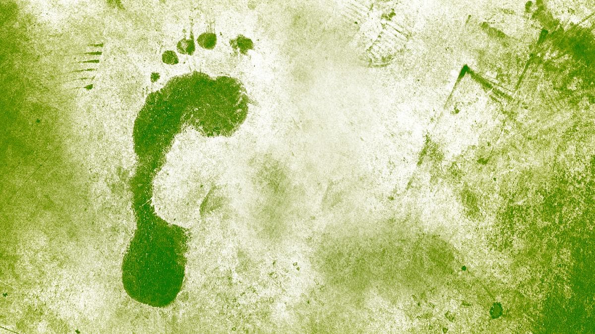 Transitioning to green steel