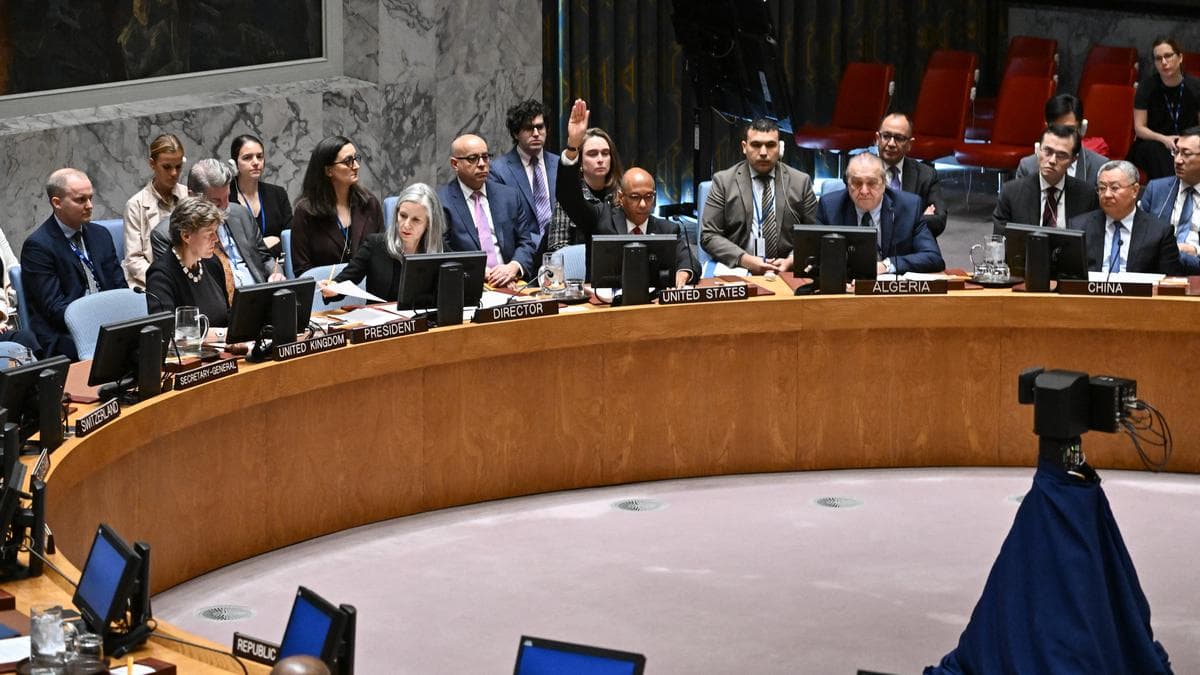Should permanent membership and veto powers of the UN Security Council be abolished? | In Focus Podcast