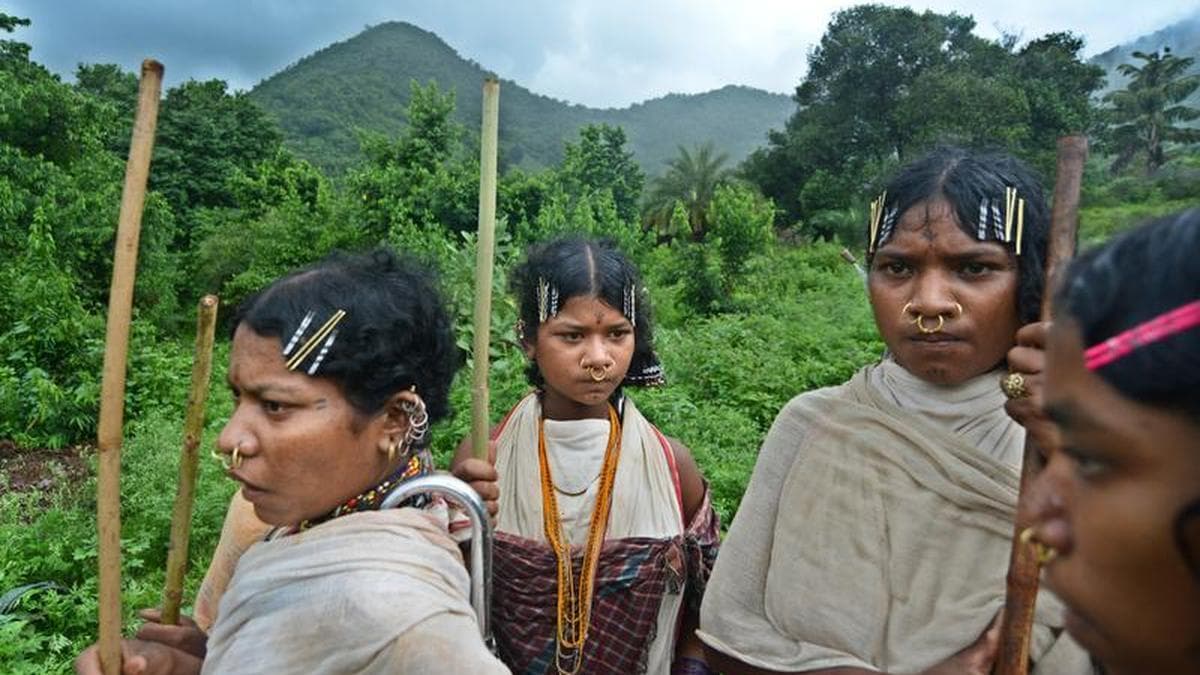 Activists caution against efforts to revive bauxite mining in Odisha’s Niyamgiri hills