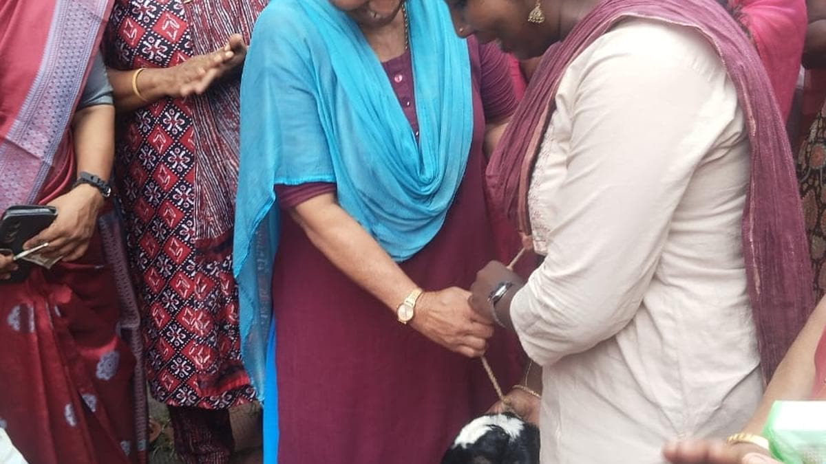 Kudumbashree district mission pilots ‘Kunjaadu’ in Vembayam for animal husbandry promotion