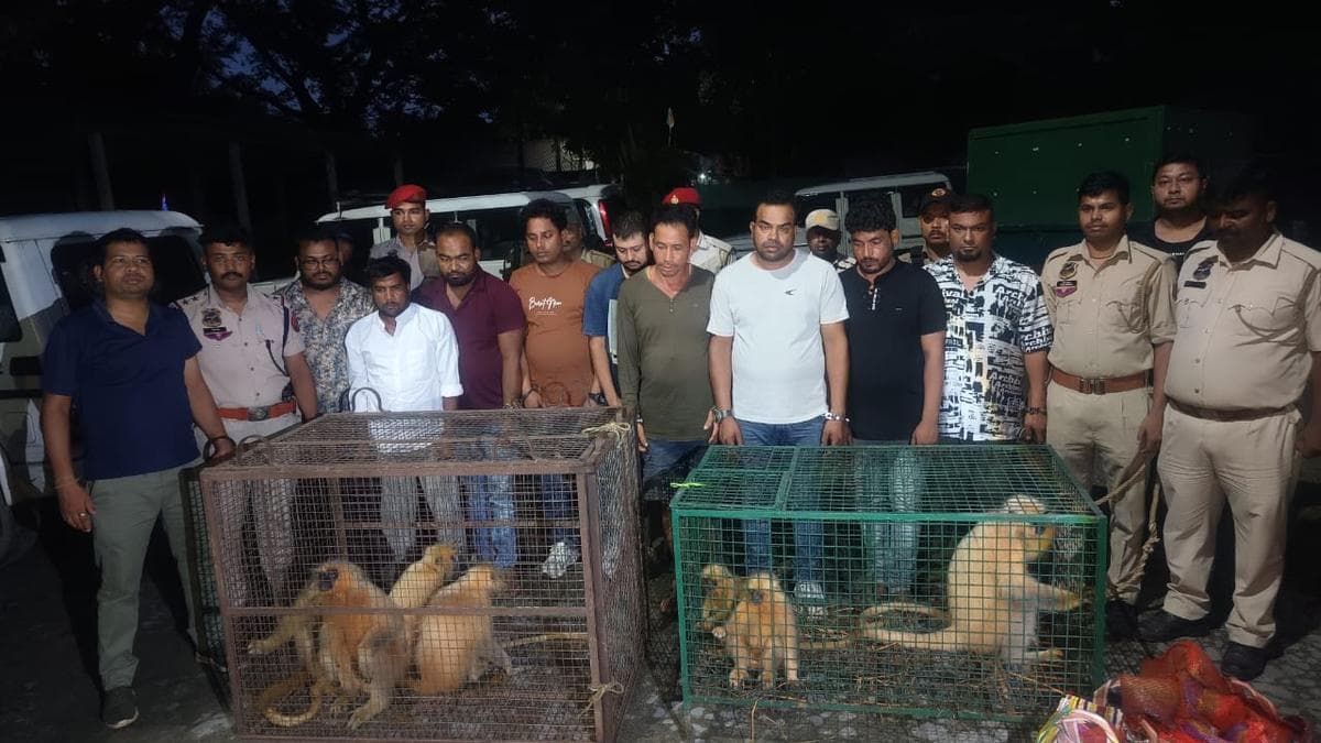 Bangladeshi among nine wildlife traffickers held in Assam