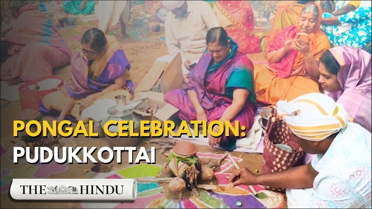 Watch: Pongal celebrations light up Pudukottai