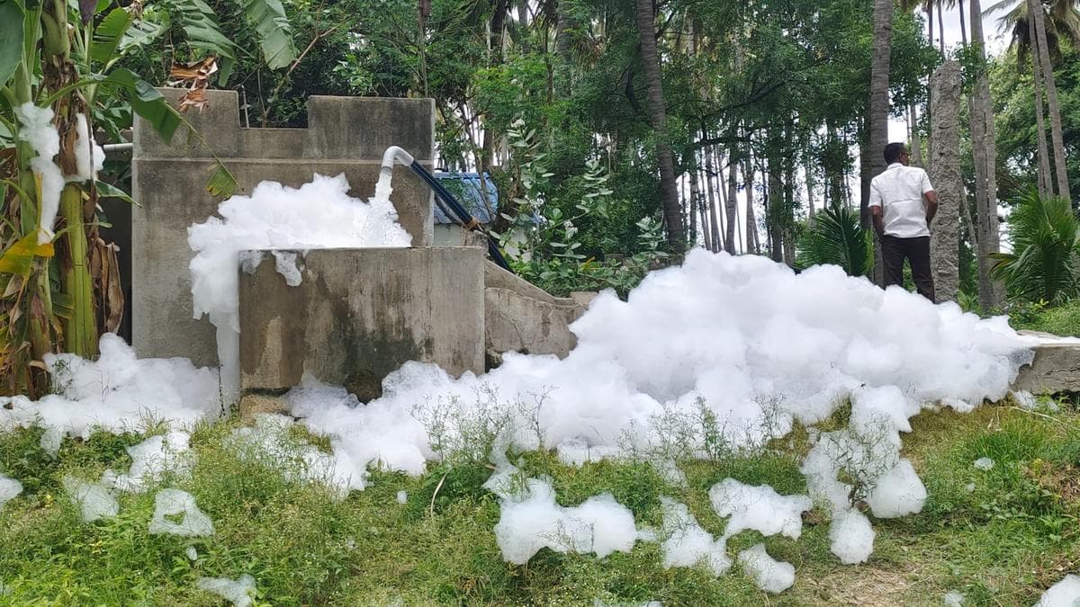 TNPCB takes water samples from farm wells along Palar River in Tirupattur after complaints of froth