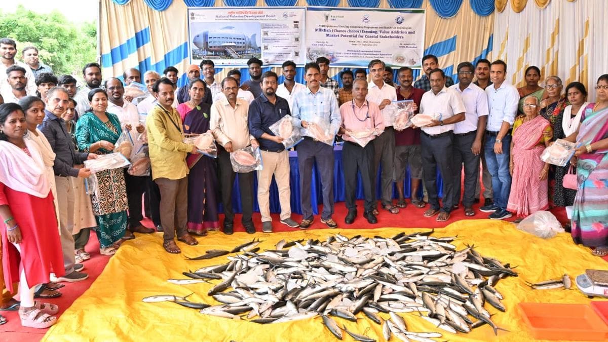 Deboning technology by ICAR-CIBA to popularise milkfish