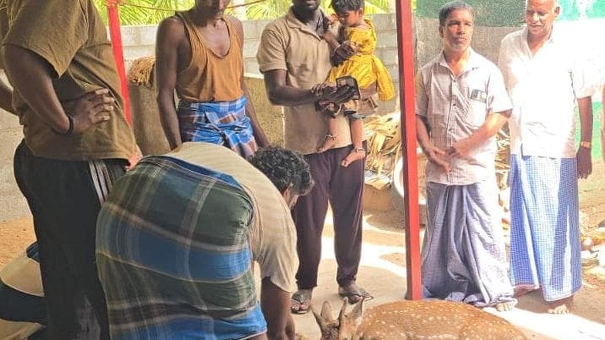 Residents rescue spotted deer near Vaniyambadi