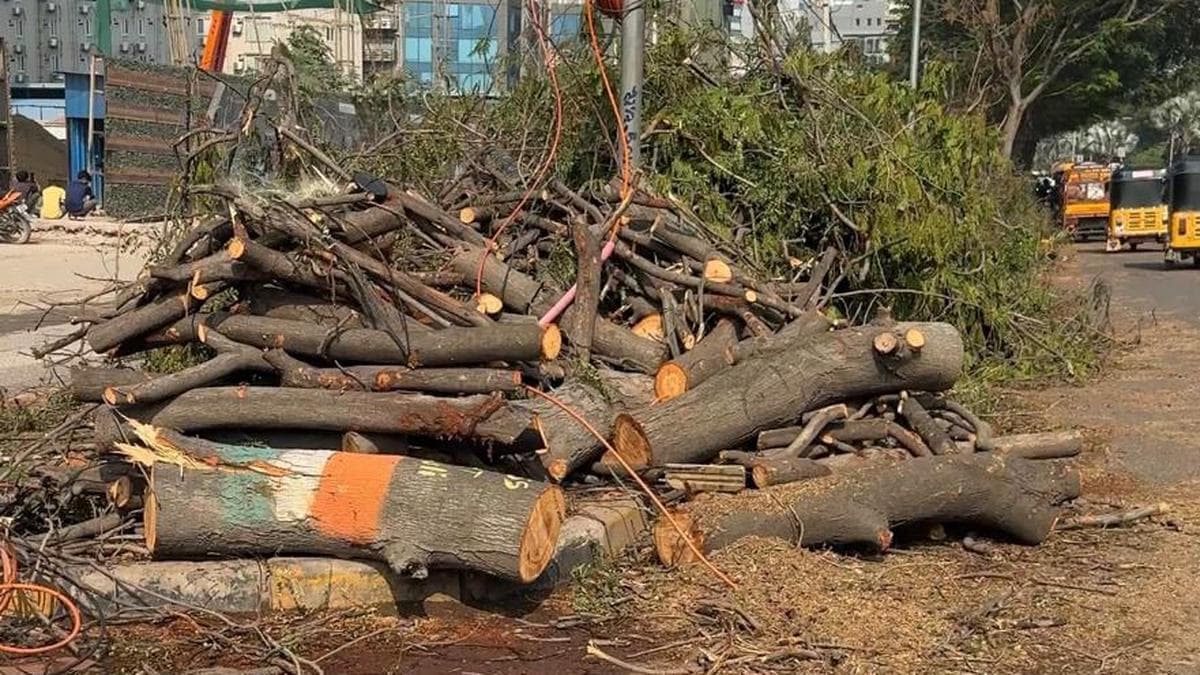 Scores of trees being felled in Manikonda to make way for road project