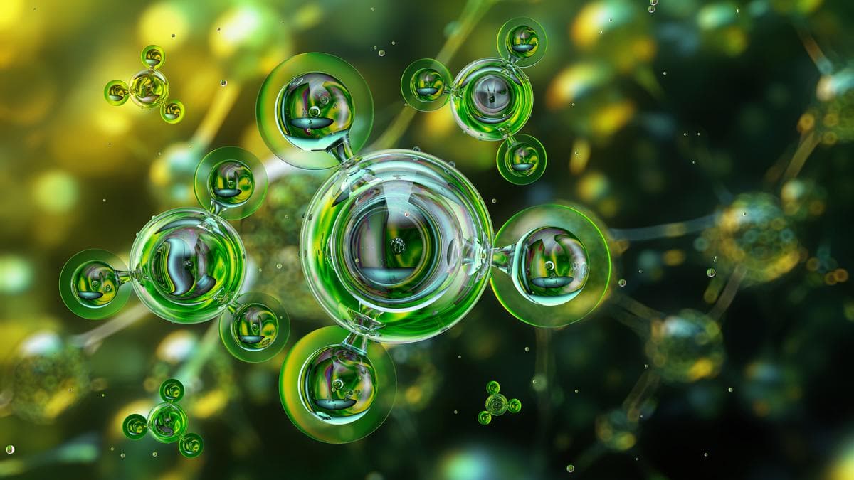 India’s energy shift through the green ammonia route