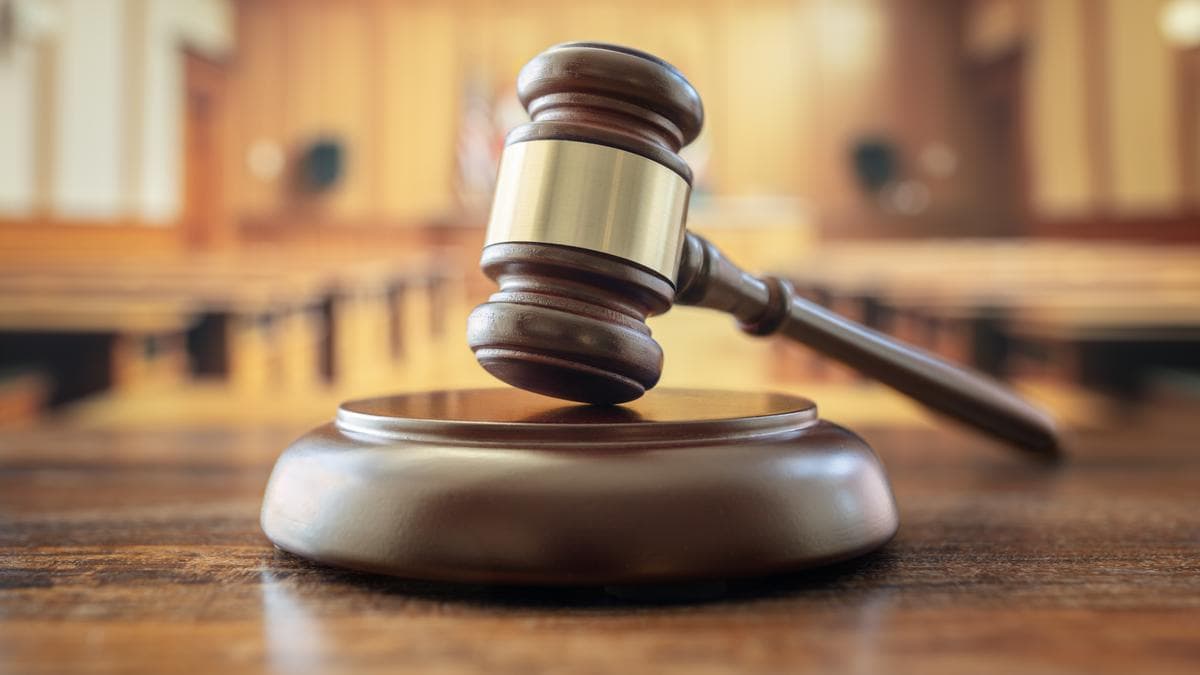 Judicial drift in the Special Intensive Revision hearings