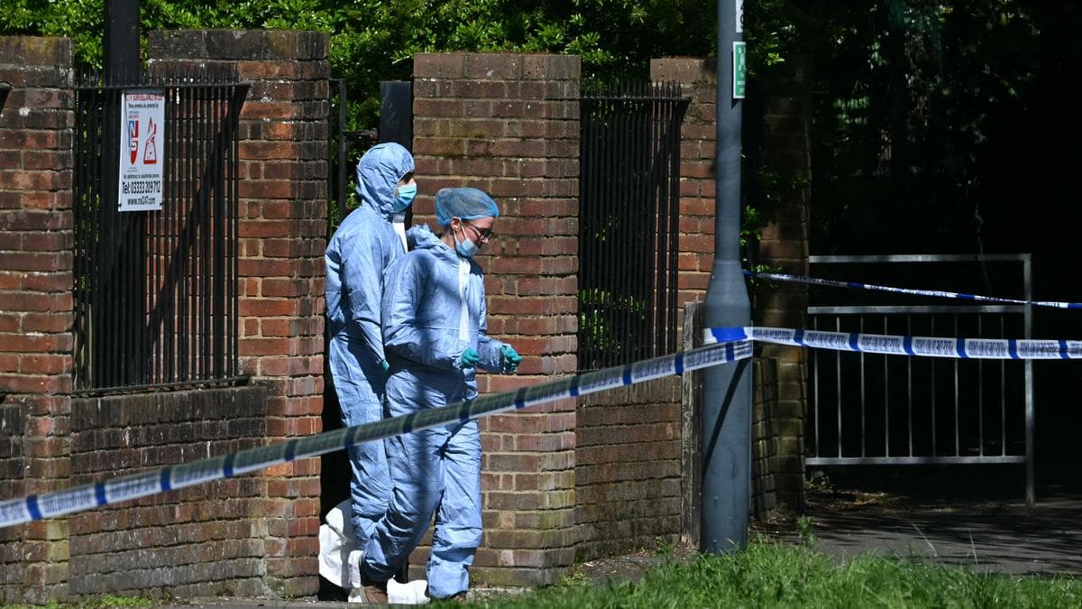 Two arrested over attempted arson attack at synagogue in London